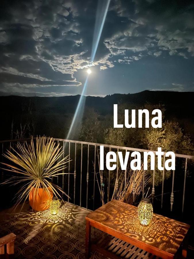 Cueva Ventica Villa Benamaurel ภายนอก รูปภาพ